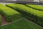 Kyvalleycommercial-landscaping-1.jpg; ?>